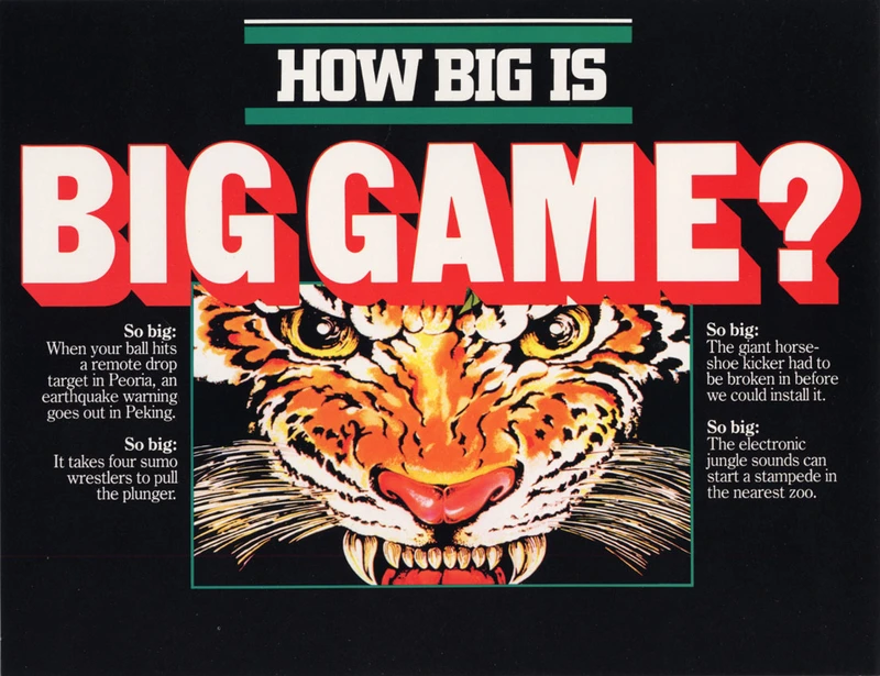 Flyer for Big Game