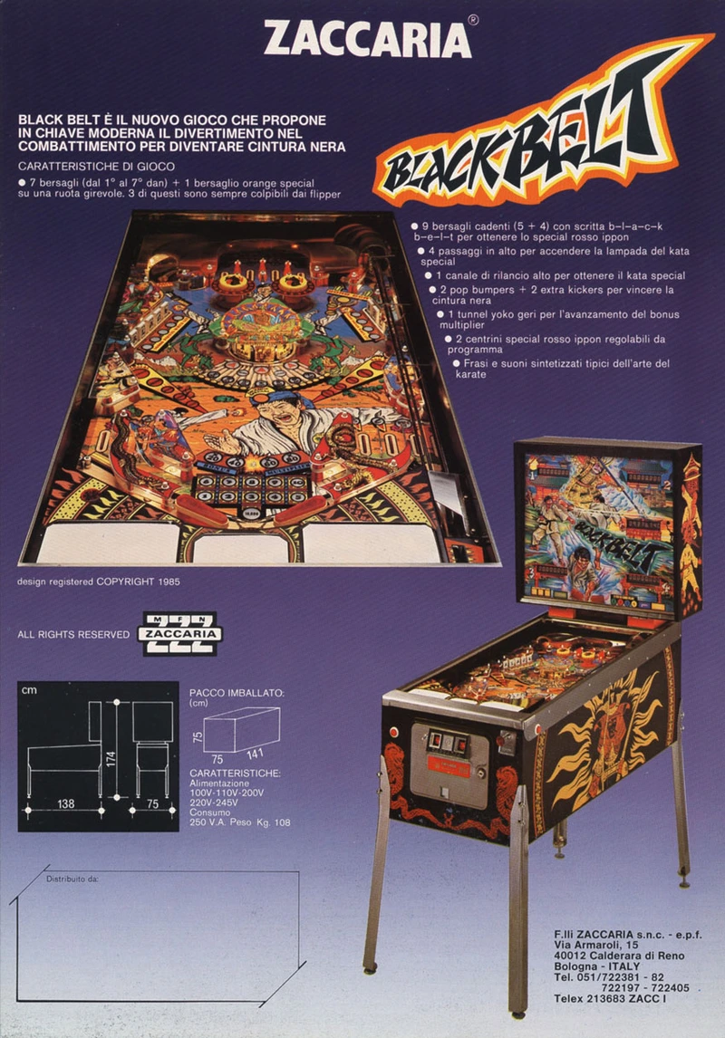 Flyer for Blackbelt