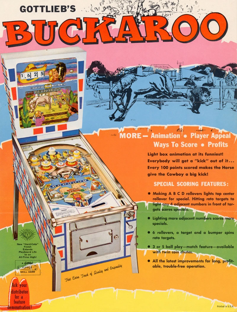 Flyer for Buckaroo