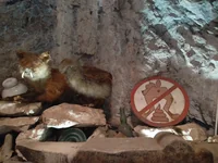 A taxidermy fox with saber teeth next to a no-pooping sign inside a rocky cave. - Photo by cLx (4 Aug 2026)